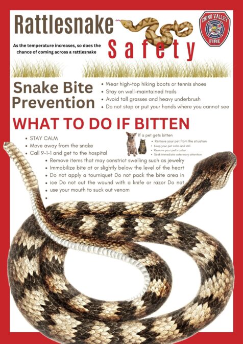 Rattlesnake Safety Flyer